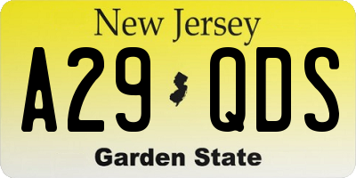 NJ license plate A29QDS