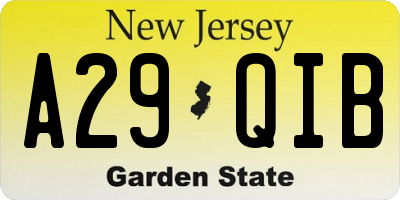 NJ license plate A29QIB