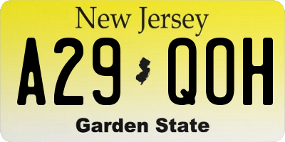 NJ license plate A29QOH