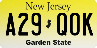 NJ license plate A29QOK