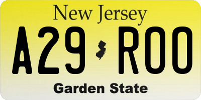NJ license plate A29ROO