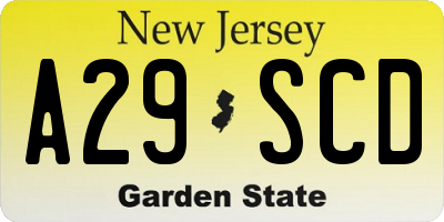 NJ license plate A29SCD