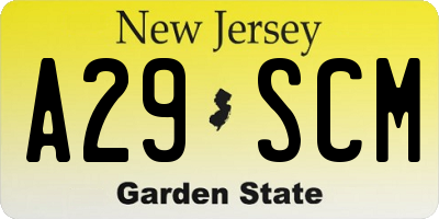 NJ license plate A29SCM
