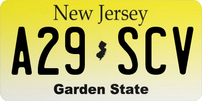 NJ license plate A29SCV