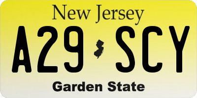 NJ license plate A29SCY