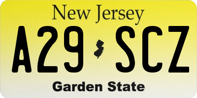NJ license plate A29SCZ