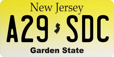 NJ license plate A29SDC