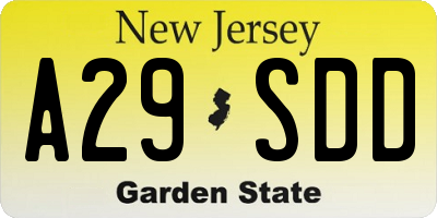NJ license plate A29SDD