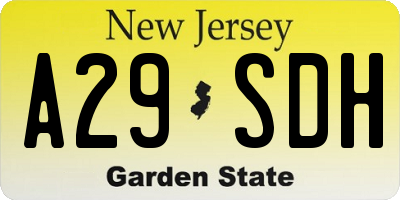 NJ license plate A29SDH