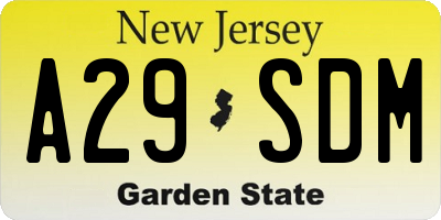 NJ license plate A29SDM