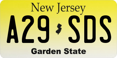NJ license plate A29SDS