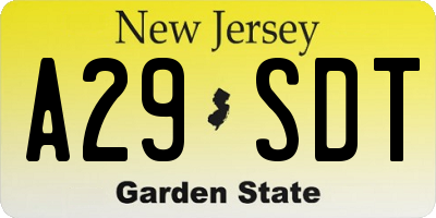 NJ license plate A29SDT