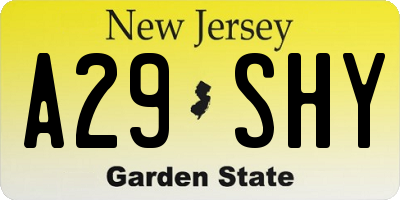 NJ license plate A29SHY