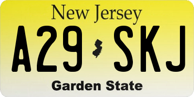 NJ license plate A29SKJ