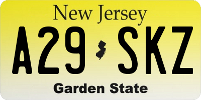 NJ license plate A29SKZ