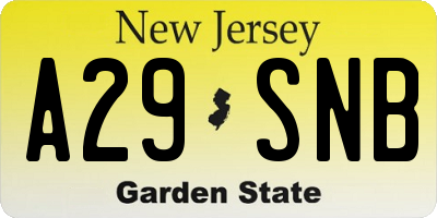 NJ license plate A29SNB