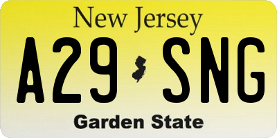 NJ license plate A29SNG