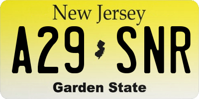 NJ license plate A29SNR