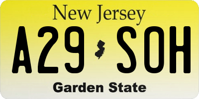 NJ license plate A29SOH