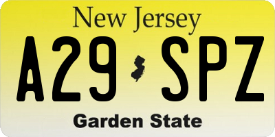NJ license plate A29SPZ