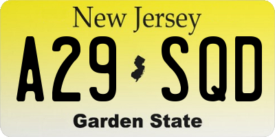 NJ license plate A29SQD