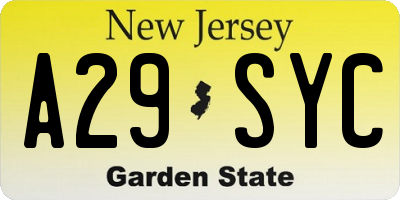 NJ license plate A29SYC