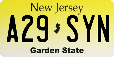 NJ license plate A29SYN
