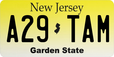 NJ license plate A29TAM