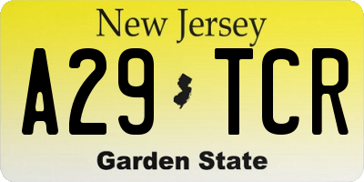 NJ license plate A29TCR