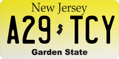 NJ license plate A29TCY