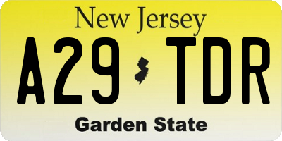 NJ license plate A29TDR