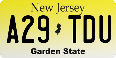 NJ license plate A29TDU