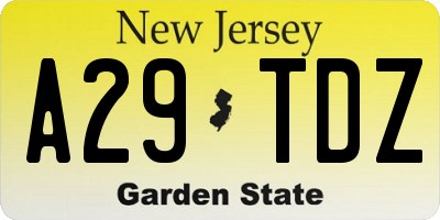 NJ license plate A29TDZ