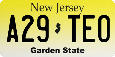 NJ license plate A29TEO