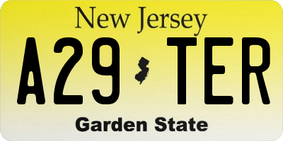 NJ license plate A29TER