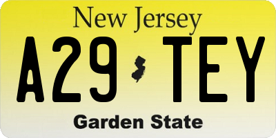 NJ license plate A29TEY