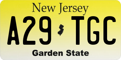 NJ license plate A29TGC