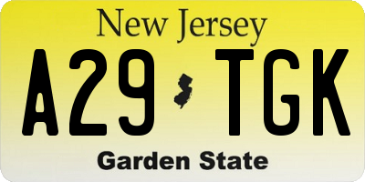 NJ license plate A29TGK