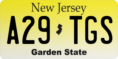NJ license plate A29TGS