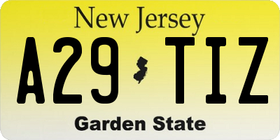 NJ license plate A29TIZ