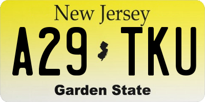 NJ license plate A29TKU