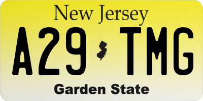 NJ license plate A29TMG