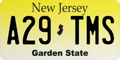 NJ license plate A29TMS