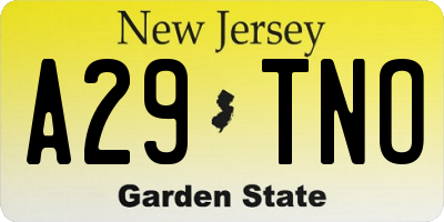 NJ license plate A29TNO