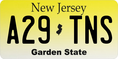NJ license plate A29TNS