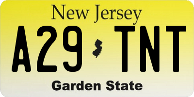 NJ license plate A29TNT