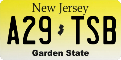 NJ license plate A29TSB