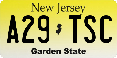NJ license plate A29TSC