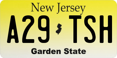 NJ license plate A29TSH
