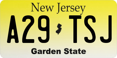NJ license plate A29TSJ